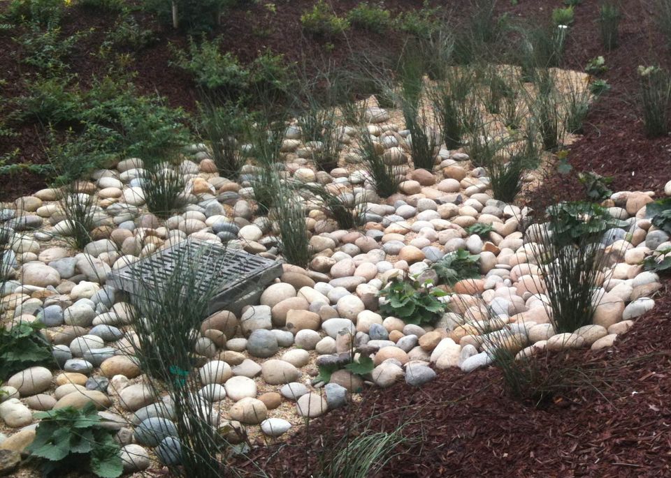 Water Saving Garden Design