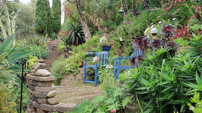Garden Ideas for Slopes